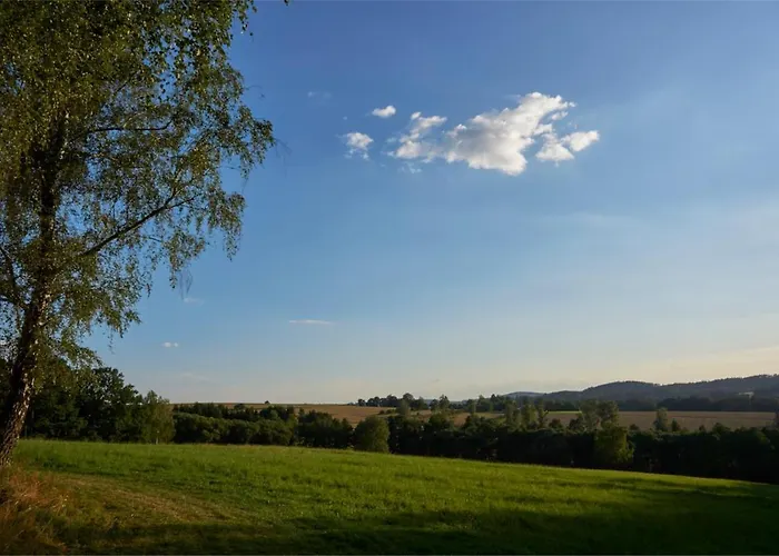 Včelíny - černý Apartamento Želiv